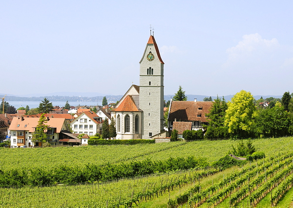 Church of Hagnau on Lake Constance, Baden-Wuerttemberg, Germany, Europe