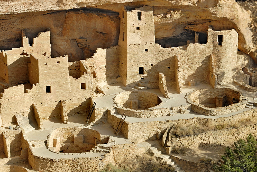 Historic habitation and cult site of the Ancestral Puebloans, Cliff Palace, partial view with 3 round ceremonial rooms, so-called called Kivas, about 1200 AD, Mesa Verde National Park, Colorado, USA