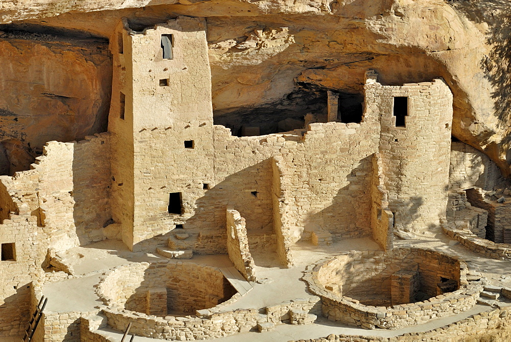 Historic habitation and cult site of the Ancestral Puebloans, Cliff Palace, partial view with 2 round ceremonial rooms, so-called called Kivas, about 1200 AD, Mesa Verde National Park, Colorado, USA