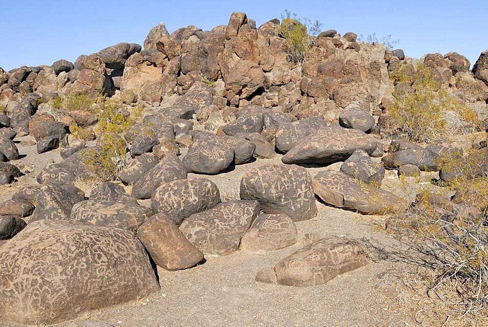 Native American rock engravings, petroglyphs, about 1000 years old, Painted Rock Petroglyph Site, Painted Rocks State Park, Gila Bend, Maricopa County, Arizona, USA