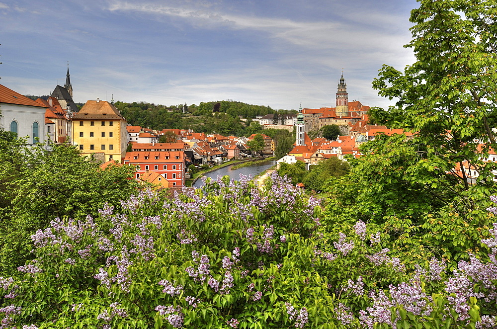 View of the historic town and Vltava river, with tower of Cesky Krumlov castle, Cesky Krumau, UNESCO World Heritage Site, Bohemia, Czech Republic, Europe