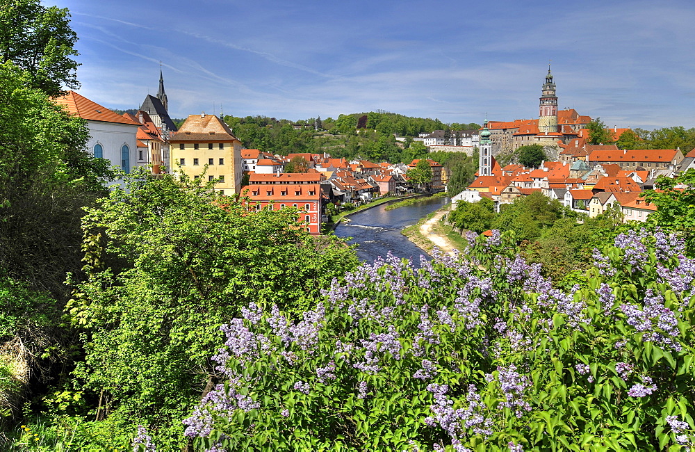 View of the historic town and Vltava river, with tower of Cesky Krumlov castle, Cesky Krumau, UNESCO World Heritage Site, Bohemia, Czech Republic, Europe