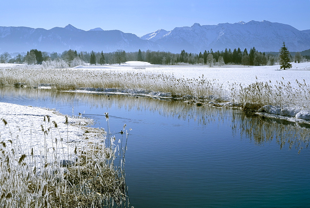 Staffelsee Ache lake in Uffing, winter, moss, Estergebirge mountains, Upper Bavaria, Bavaria, Germany, Europe