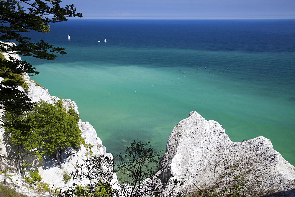 Mons Klint chalk cliffs, Mon Island, Denmark, Europe