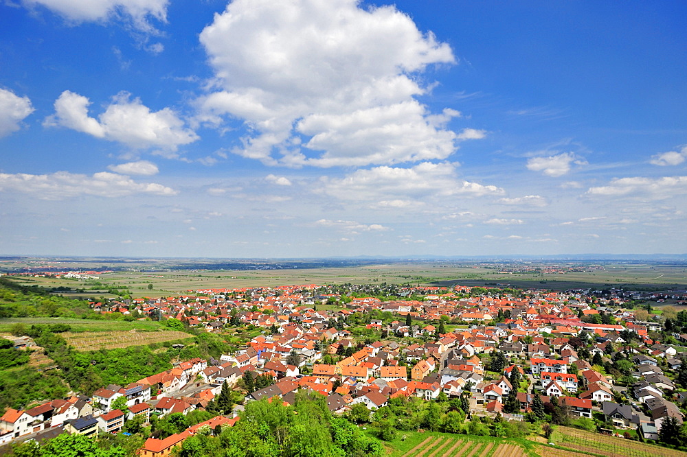 Panoramic view from Wachtenburg castle on Wachenheim and the Rhine Valley, Wachenheim, Naturpark Pfaelzerwald nature reserve, Palatinate, Rhineland-Palatinate, Germany, Europe