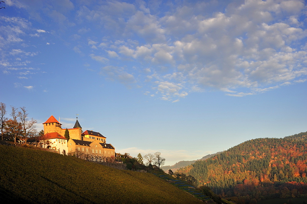 Eberstein Castle, Gernsbach Obertsrot, Black Forest, Baden-Wuerttemberg, Germany, Europe