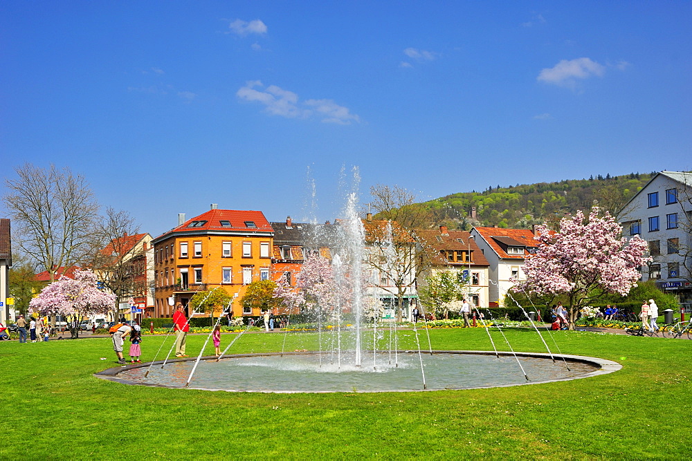 City park, Ettlingen, Germany, Black Forest, Baden-Wuerttemberg, Germany, Europe