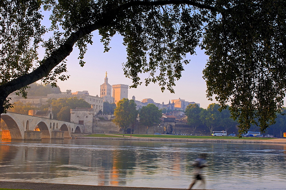 Saint Benezet bridge over Rhone river, Papal palace, Palais des Papes, and Notre Dame des Doms Cathedral, Avignon, Vaucluse, Provence-Alpes-Cote dÃ‚Â¥Azur, Rhone valley, Provence, France, Europe