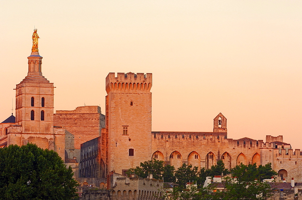 Papal Palace, Palais des Papes, and Notre Dame des Doms Cathedral, Avignon, Vaucluse, Provence-Alpes-Cote d'Azur, Rhone valley, Provence, France, Europe