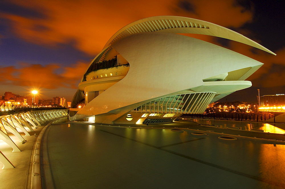 Palace of Arts Reina Sofia, by S. Calatrava, City of Arts and Sciences, Comunidad Valenciana, Valencia, Spain, Europe