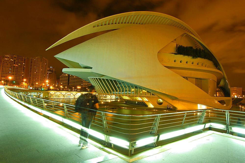 Palace of Arts Reina Sofia, by S. Calatrava, City of Arts and Sciences, Comunidad Valenciana, Valencia, Spain, Europe