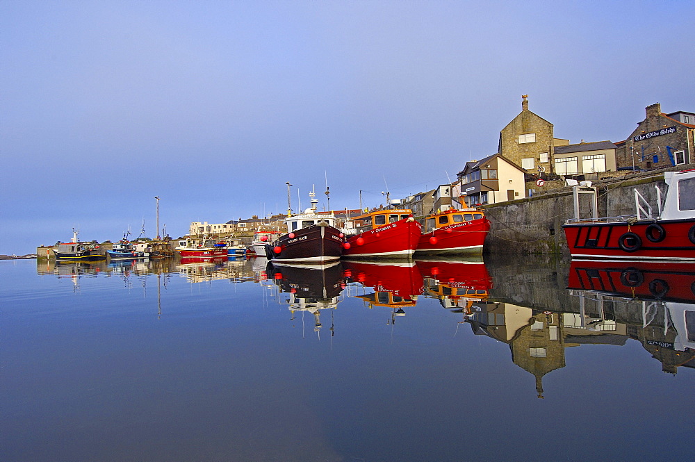 Fishing boats in harbour, Seahouses, Northumberland, England, United Kingdom, Europe