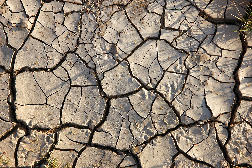 Dried soil in a pond bed