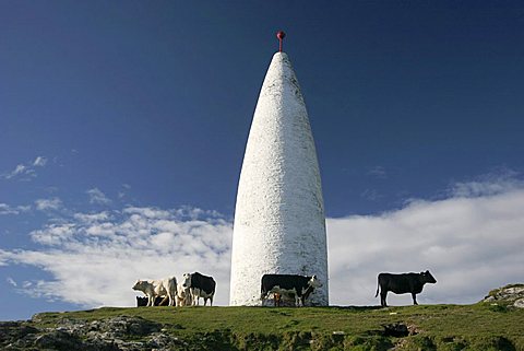 Tower at the rocky coast near Baltimore , Cork , Munster , Ireland , Europe