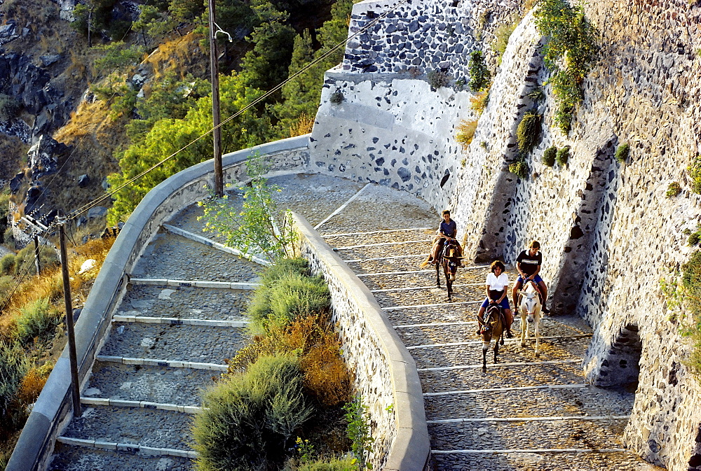 Steep stairs from the port to Fira, tourists riding on mules, Santorini, Thira, Cyclades, Greece, Europe