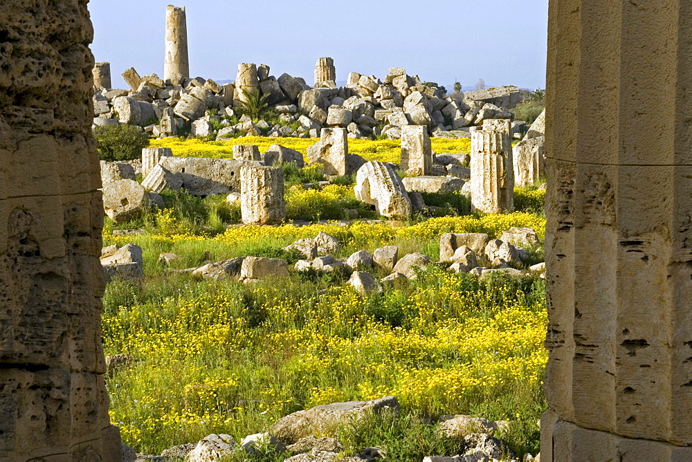 Ancient Greek temple Selinunte, archaeological site, Sicily, Italy