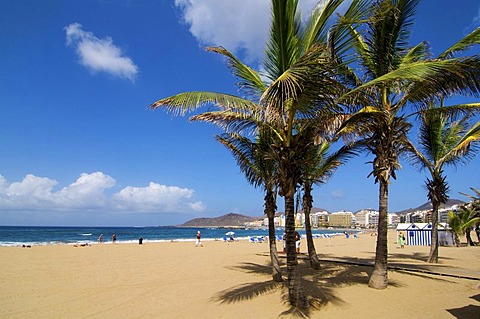 Playa de las Canteras beach in Las Palmas, Grand Canary, Canary Islands, Spain