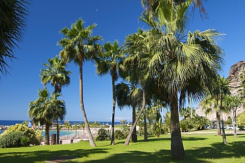 Playa Amadores Beach in Puerto Rico, Grand Canary, Canary Islands, Spain