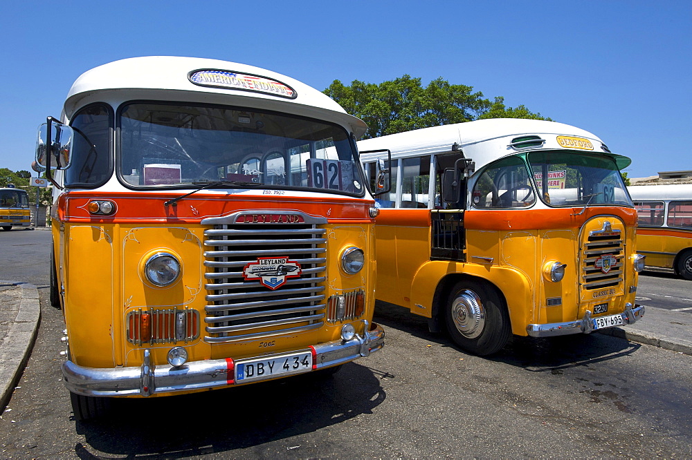 Typical buses in Valletta, Malta, Europe