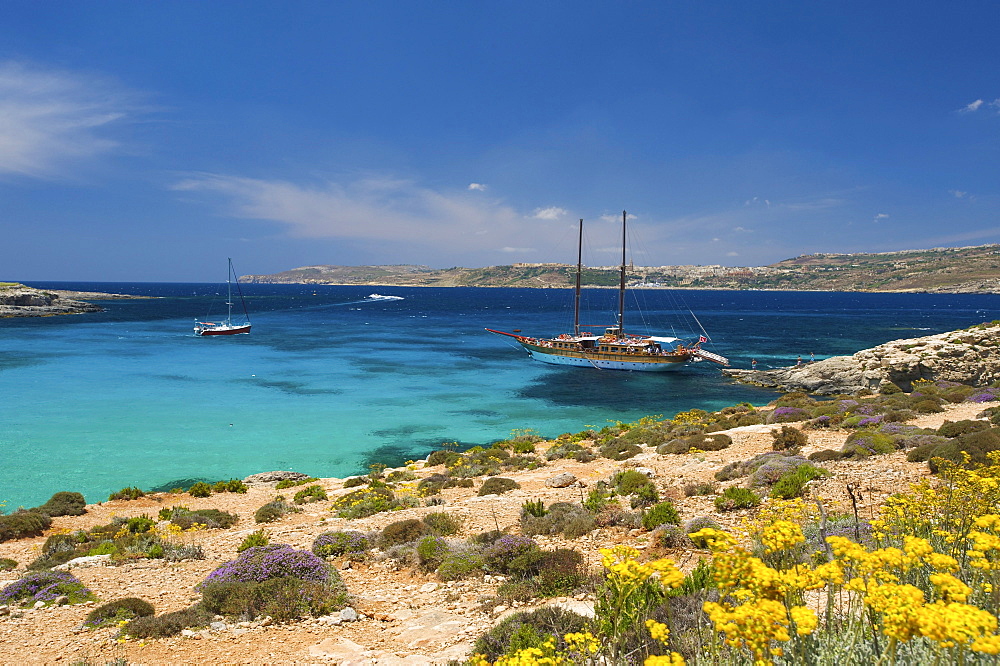 Excursion boats in the Blue Lagoon of Comino, Malta, Europe