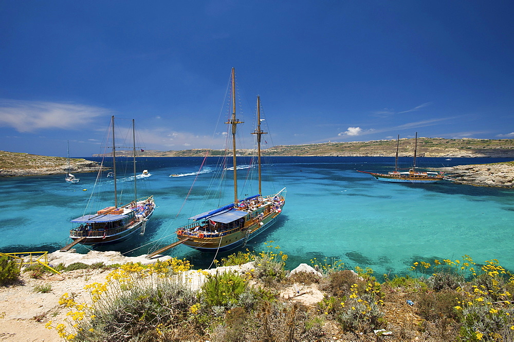 Excursion boats in the Blue Lagoon of Comino, Malta, Europe