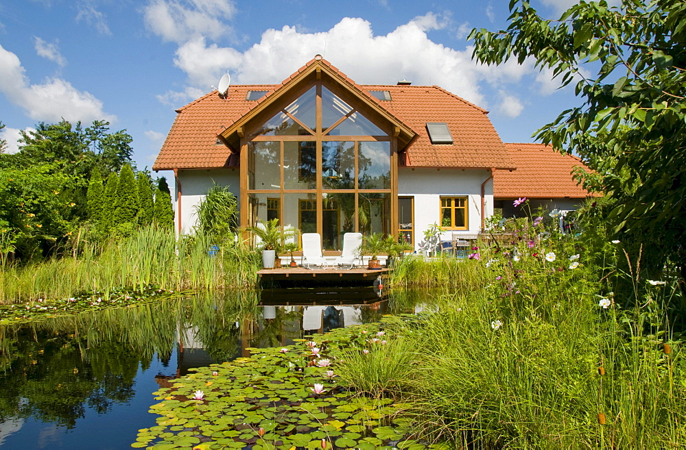 Garden pond with water lilies, in front of house with winter garden, in summer