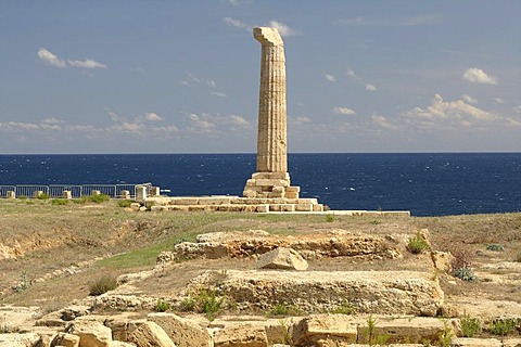 Column of the Temple of Hera Lacinia, Capo Colonna, Calabria, Italy, Europe