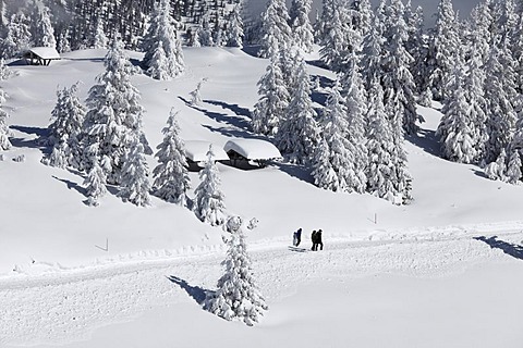 Winter landscape with walkers, Wank mountain in the Estergebirge mountain range, near Garmisch-Partenkirchen, Werdenfelser Land, Upper Bavaria, Bavaria, Germany