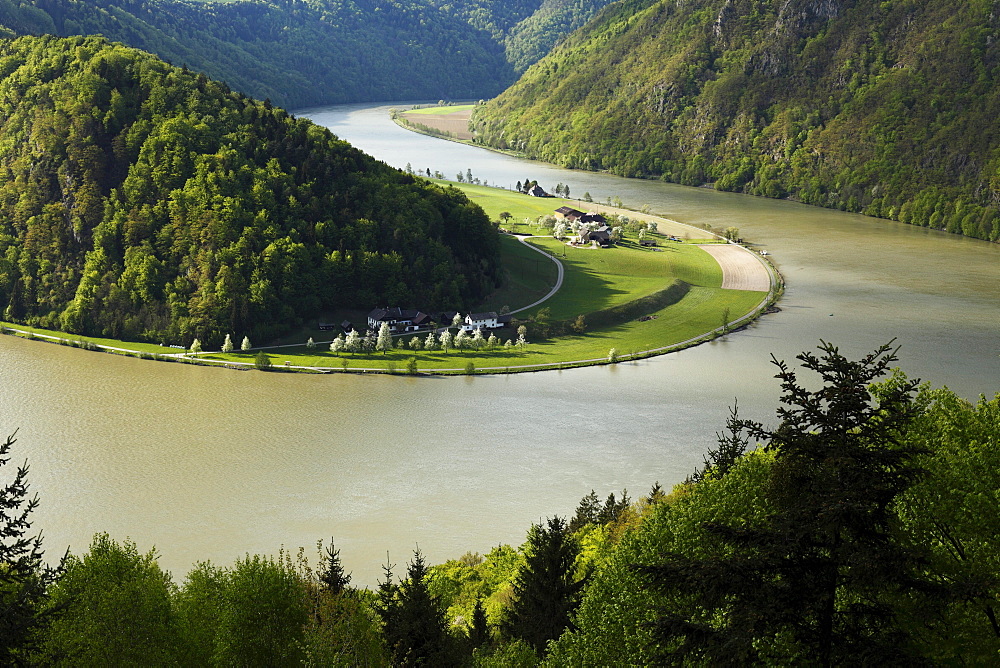 Danube River, Schloegener loop, Schloegen, Upper Austria, Austria, Europe