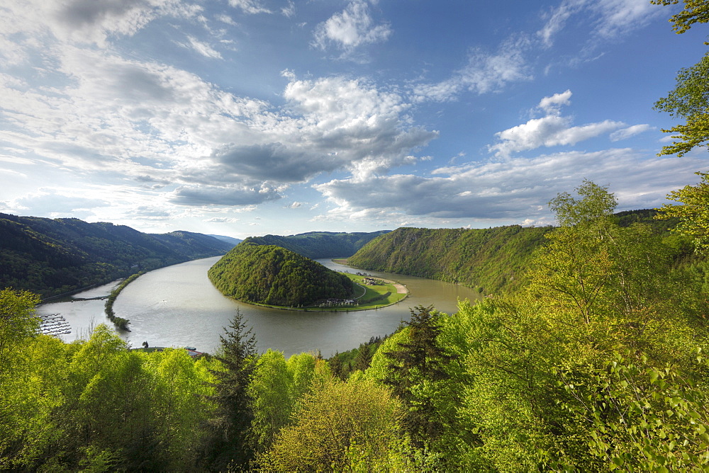 Danube River, Schloegener loop, Schloegen, Upper Austria, Austria, Europe