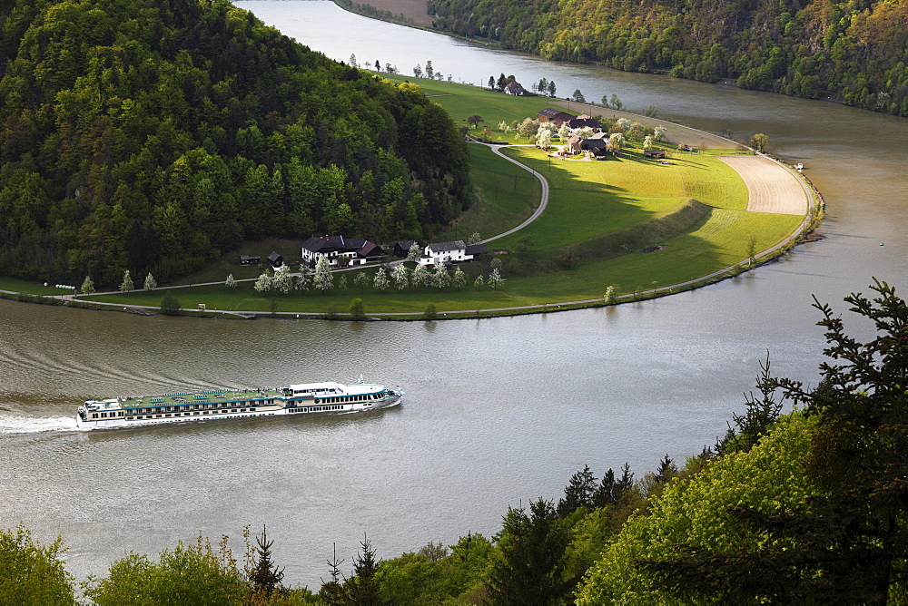 Passenger ship on Danube River, Schloegener loop, Schloegen, Upper Austria, Austria, Europe