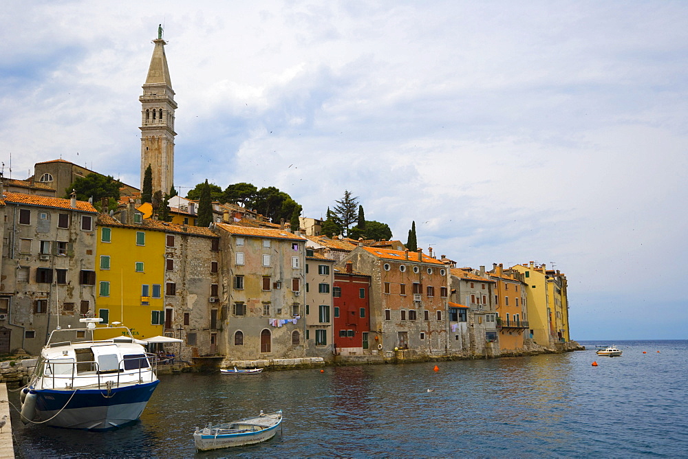 Rovinj Old town with Saint Euphemia's basilica, seen from Valdibora, Rovinj, Istria, Croatia, Europe