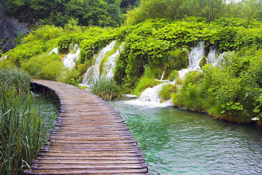 Path at Plitvicka Jezera, Plitvice Lakes National Park, Lika-Senj, Croatia, Europe