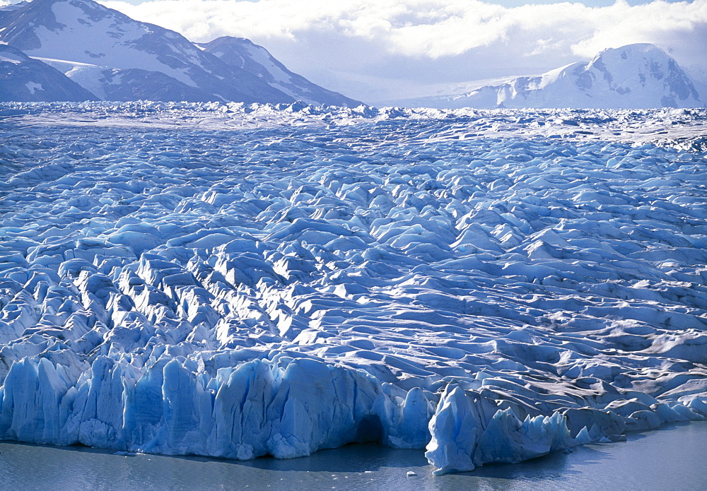 Scarp of the Grey Glacier in the Torres del Paine National Park, Patagonia, Puerto Natales, Region de Magallanes y de la Antartica Chilena, Chile, South America