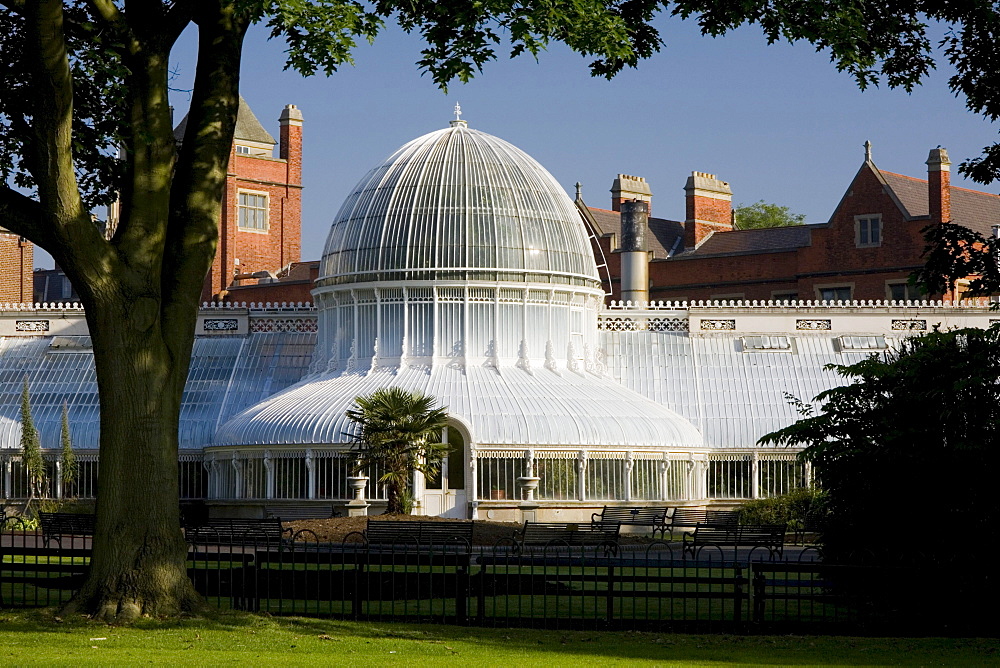 Palm house in the botanic garden of Belfast, County Antrim, Ulster, Northern Ireland, United Kingdom, Europe