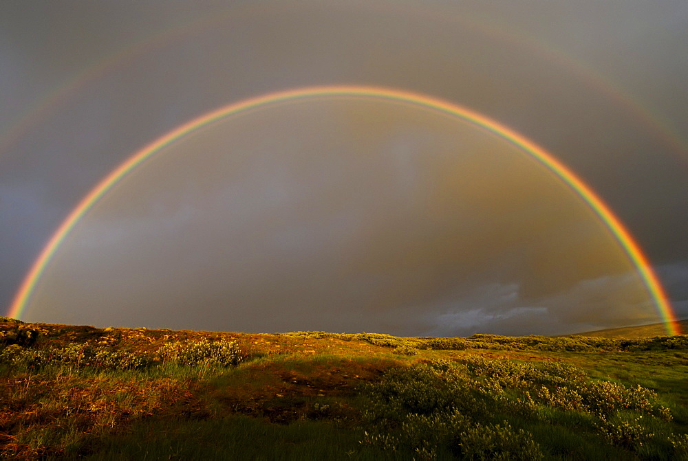 Rainbow over mountainous landscape, near Trondsbur, Hardangervidda, Europe's biggest high plain, Norway, Europe