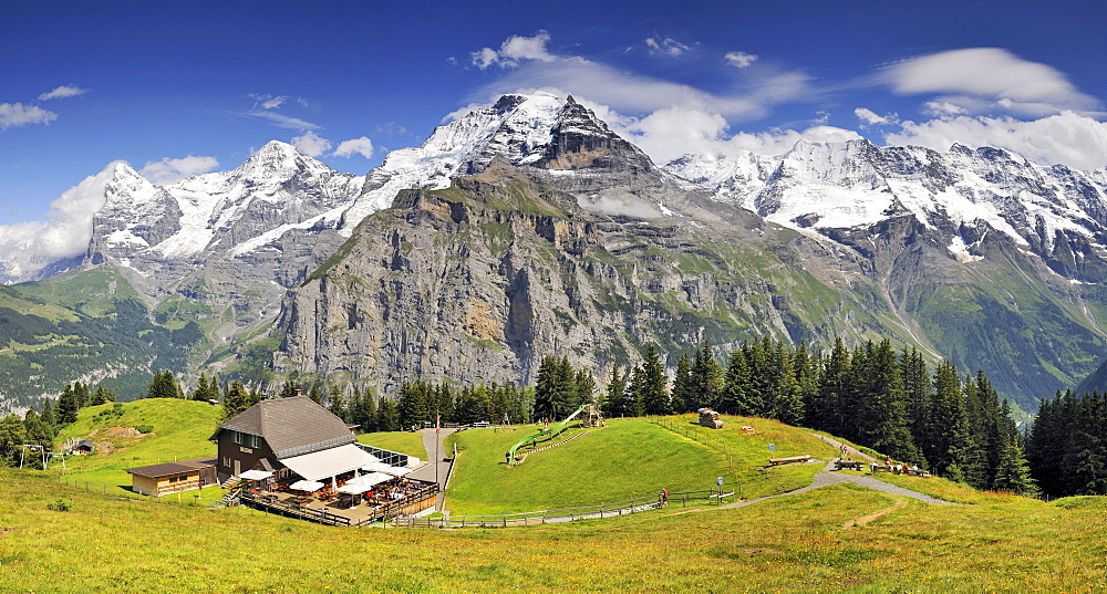 Panoramic view from Mt. Allmendhubel to the mountain inn and on the Eiger, Moench and Jungfrau mountains in the Bernese Oberland, Canton Bern, Switzerland, Europe