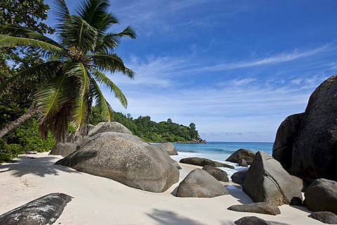 Beach near Vista do Mar with the typical granite rocks of the Seychelles, Glacis, Mahe Island, Seychelles, Indian Ocean, Africa