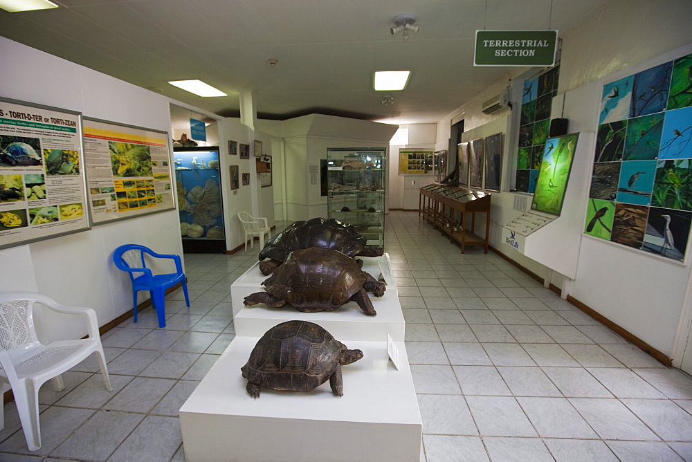 Natural History Museum on Independence Avenue, capital of Victoria, Mahe Island, Seychelles, Indian Ocean, Africa