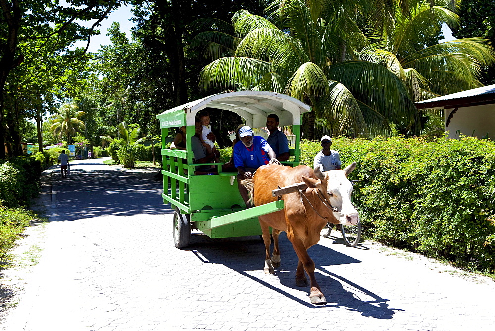 Oxcart, La Digue Island, Seychelles, Indian Ocean, Africa