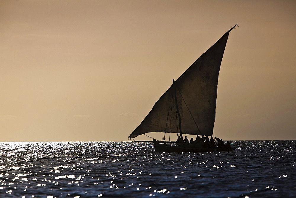 Arabian Dhow on the coast of Zanzibar, Tanzania, Africa