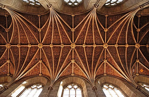 Gothic cross vault in a cathedral, Hereford, England, Europe