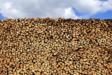 Piled up fire wood, Buch, Nuremberg, Franconia, Bavaria, Germany,