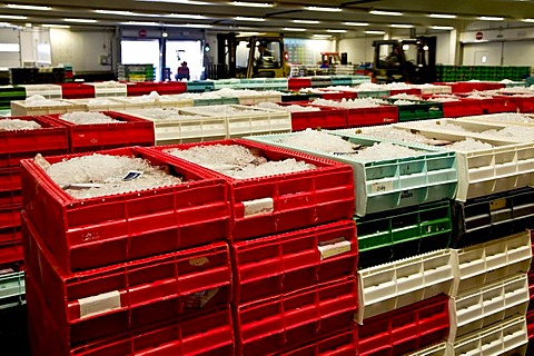 The Fish auction room in Hanstholm, Denmark