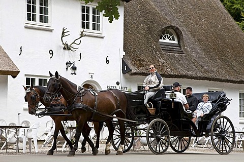 Sightseeing in a hackney carriage in the Danish park Dyrehave, Copenhagen, Denmark