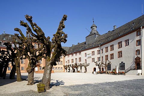 Castle square with cut willows and north wing, Berleburg Castle, Bad Berleburg, district of Siegen-Wittgenstein, Rothaarsteig, North Rhine-Westphalia, Germany, Europe
