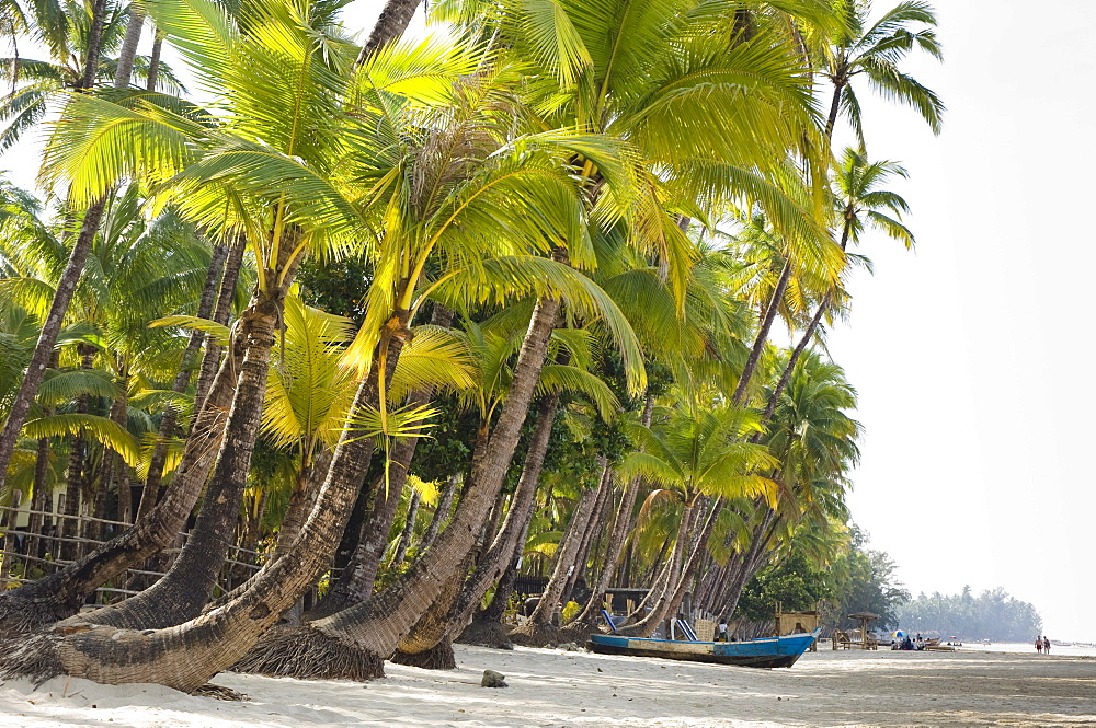 Palm beach, Ngapali Beach, Thandwe, Rakhine Coast, Bay of Bengal, Burma, Myanmar, Asia