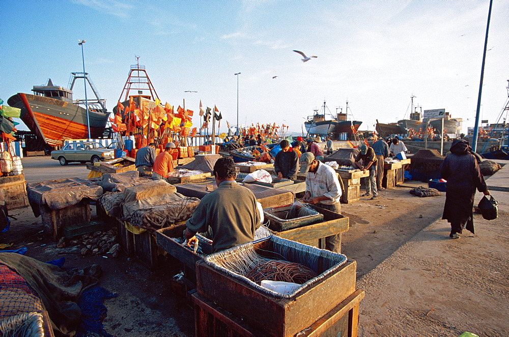 Fishermen in the harbour of Essaouira, Morocco, North Africa