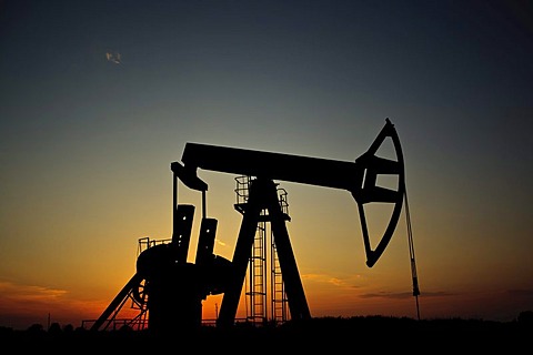 Oil pumpjack