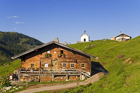 Ackern-Alm, mountain lodge, Thiersee district, Tyrol, Austria, Europe
